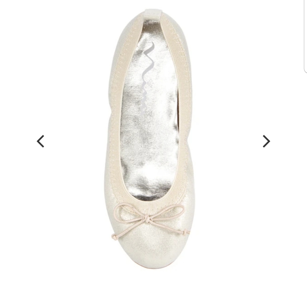 ‼️NWOT Girl's Nina Slip on Champagne Ballet Flats